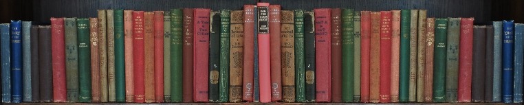 books on a bookshelf
